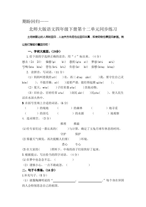 北师大版四年级下册第十二单元测试题及答案