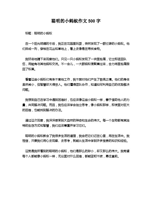 聪明的小蚂蚁作文500字