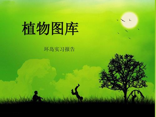 海南酒店15种植物图库(原创)