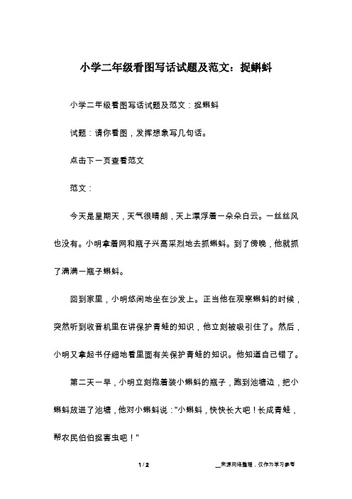 小学二年级看图写话试题及范文：捉蝌蚪