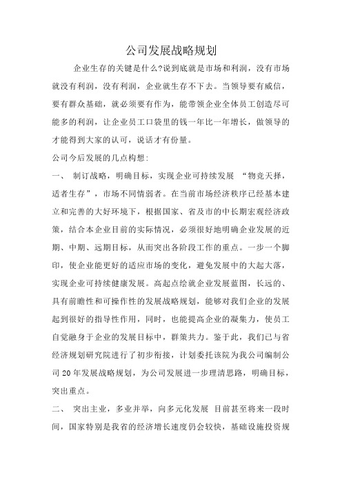 公司发展战略规划