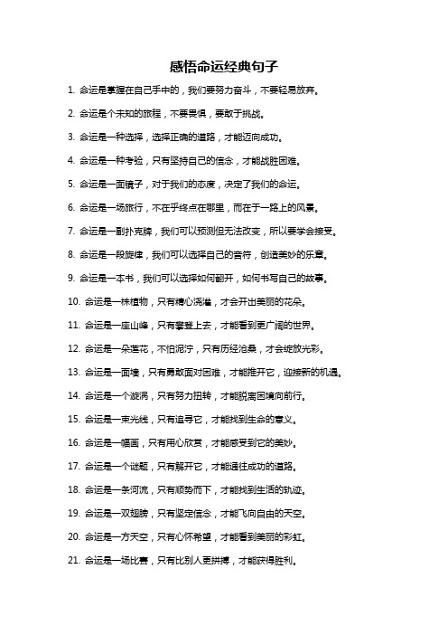 感悟命运经典句子