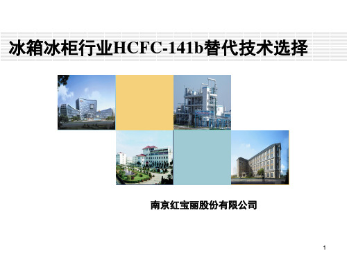 冰箱冰柜行业发泡剂技术选择(课堂PPT)