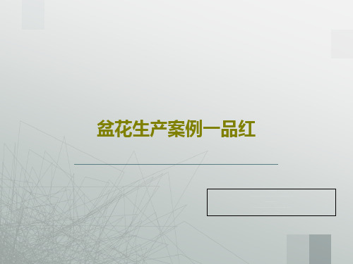 盆花生产案例一品红100页PPT