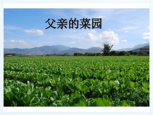 2019年四年级下册语文课件28、父亲的菜园｜人教新课标 共15张PPT语文