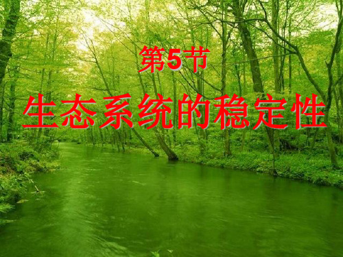 浙教版科学九下2.5《生态系统的稳定性》ppt课件