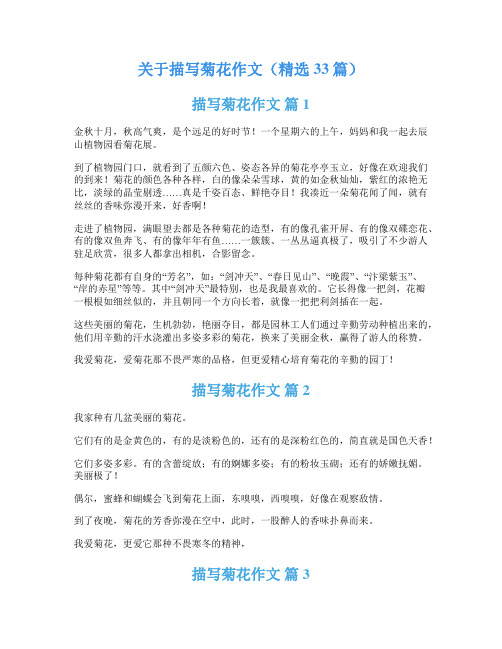 关于描写菊花作文(精选33篇)