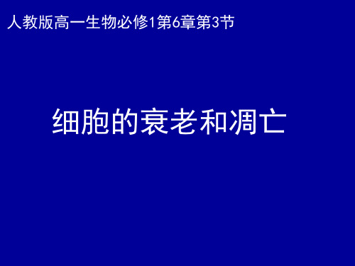 苏教版高中生物必修一第五章细胞衰老和凋亡(共42张PPT)