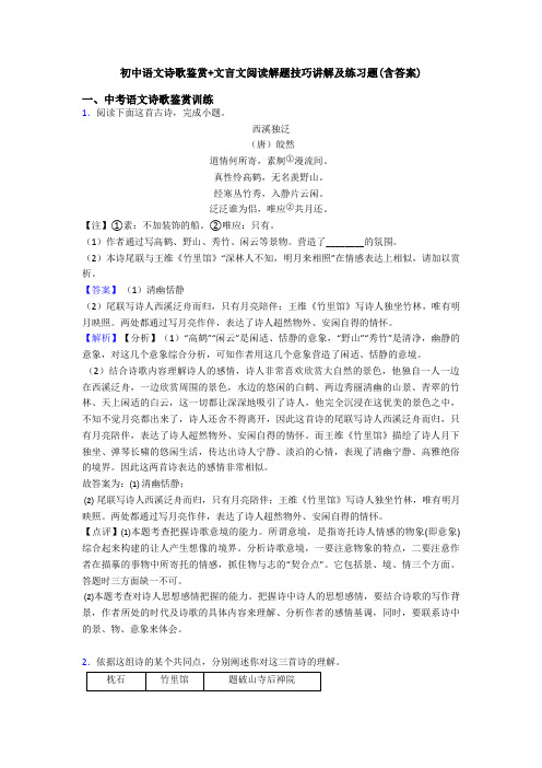 初中语文诗歌鉴赏+文言文阅读解题技巧讲解及练习题(含答案)