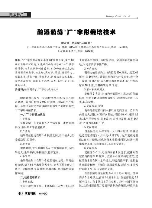 酿酒葡萄“厂”字形栽培技术