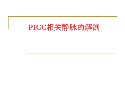 PICC相关静脉的解剖概要