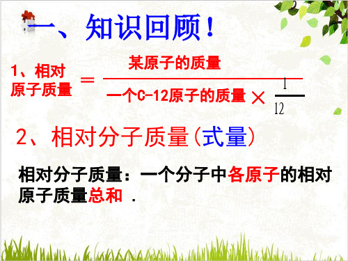 浙教版科学八级下册元素符号表示的量PPT课件