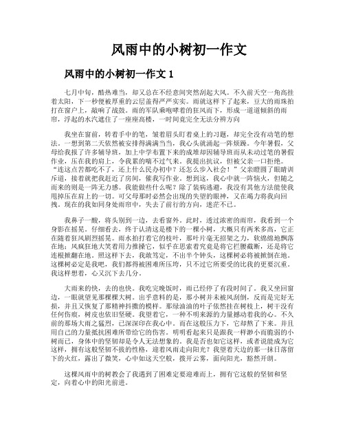 风雨中的小树初一作文