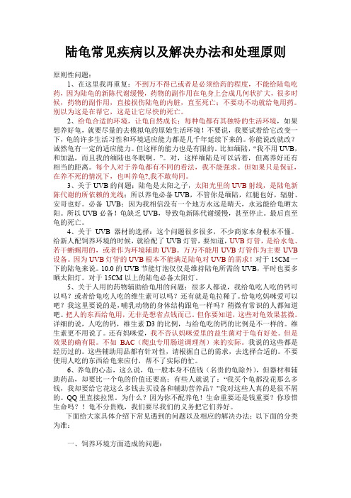 陆龟常见疾病以及解决办法和处理原则