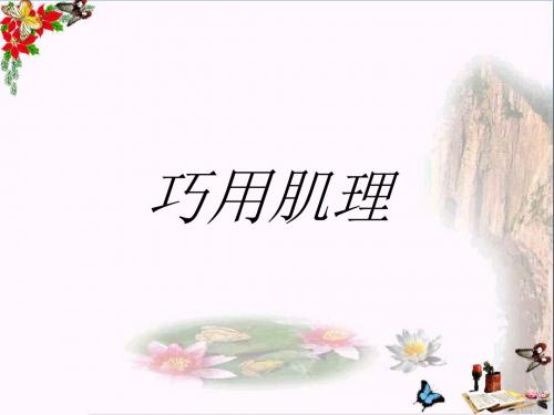 六年级美术上册巧用肌理 PPT精品课件3湘教版