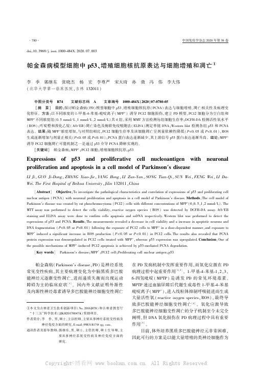 帕金森病模型细胞中p53、增殖细胞核抗原表达与细胞增殖和凋亡