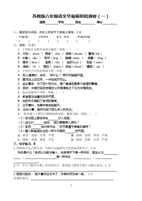 苏教版六年级语文毕业模拟检测卷13份