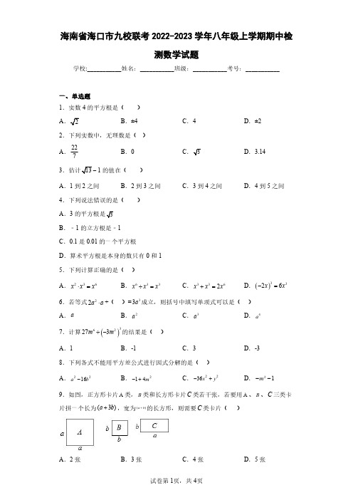 海南省海口市九校联考2022-2023学年八年级上学期期中检测数学试题(含答案解析)