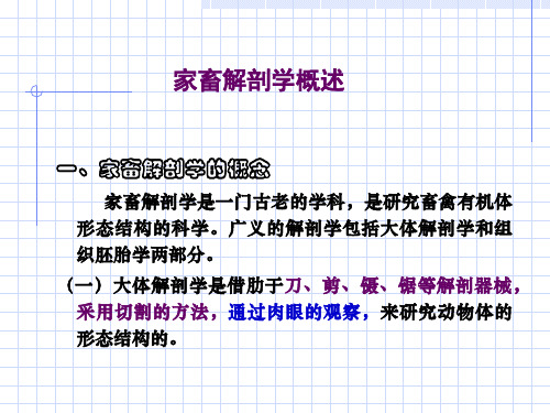 家畜解剖生理-绪论及第一章