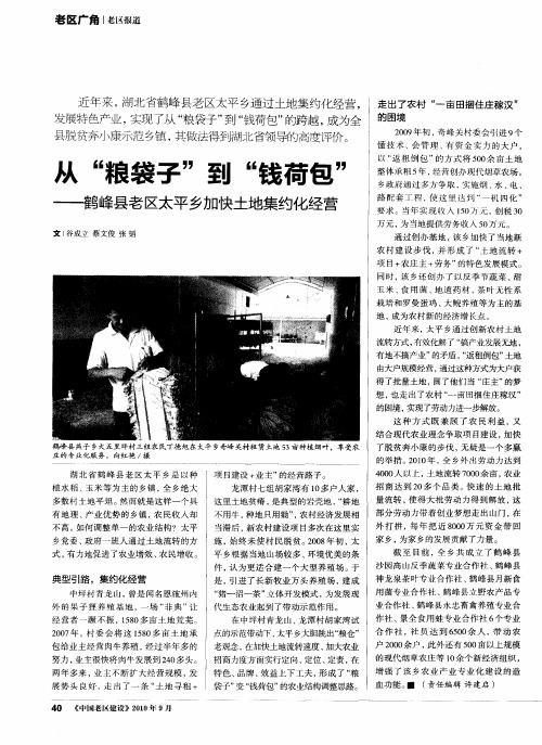 从“粮袋子”到“钱荷包”——鹤峰县老区太平乡加快土地集约化经营