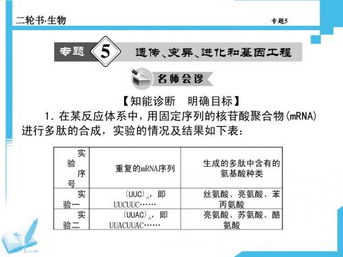 2014届高考生物二轮专题复习课件：专题5 遗传、变异、进化和基因工程(共计131张PPT