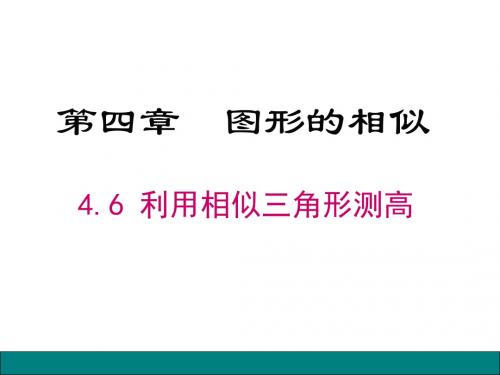 4.6利用相似三角形测高课件25张PPT