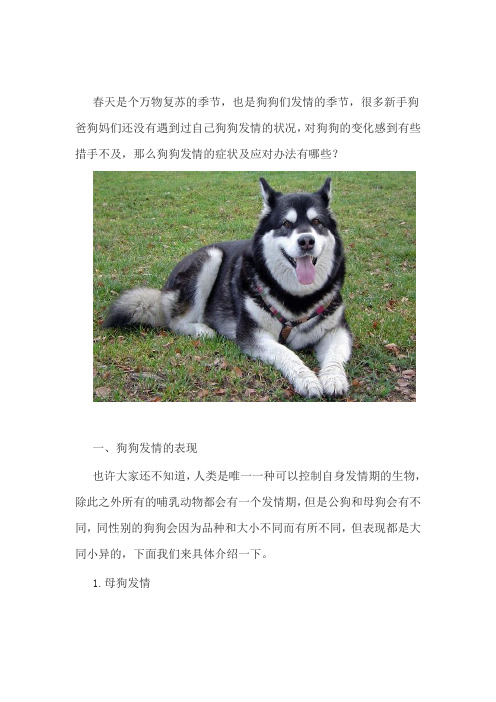 养宠经验：狗狗发情的症状及应对办法