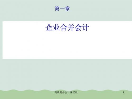财务会计与企业合并管理知识分析概述(PPT 116页)