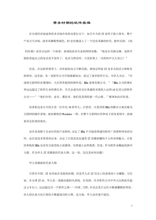 萧条时期的软件英雄