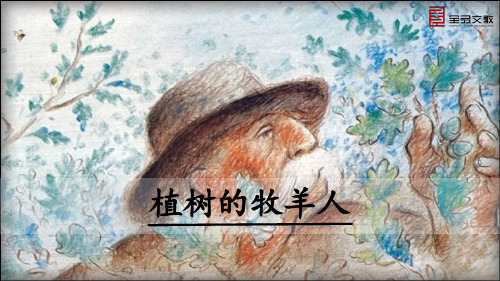13《植树的牧羊人》
