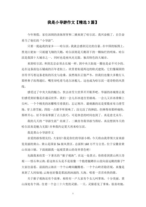 精选我是小导游作文【3篇】