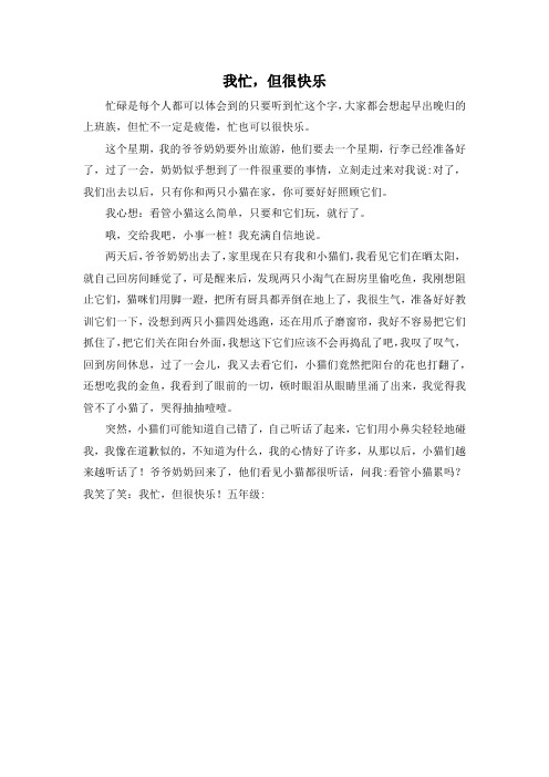 小学五年级-我忙但很快乐 精品