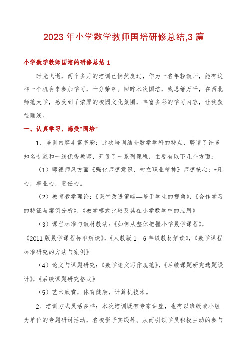 2023年小学数学教师国培研修总结,3篇