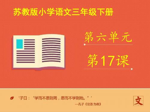 最新苏教版小学语文三年级下册《“你必须把这条鱼放掉!”》第二课时优质课课件(精品)