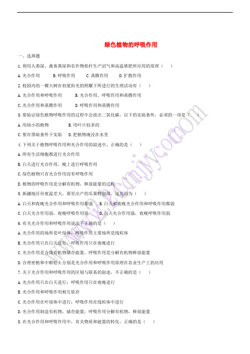 七年级生物上册 3.5.2 绿色植物的呼吸作用同步测试 (新版)新人教版