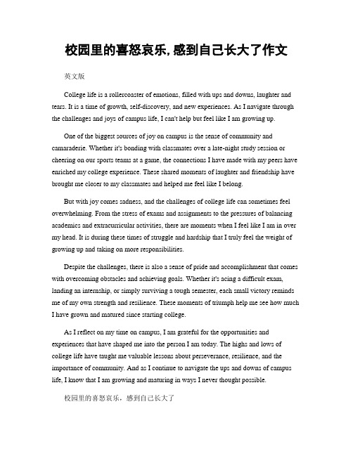 校园里的喜怒哀乐,感到自己长大了作文