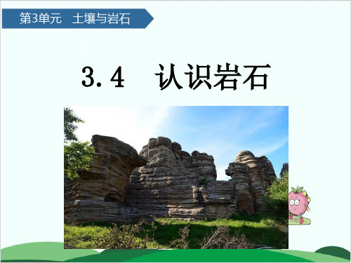(三上)科学PPT课件认识岩石青岛版(六年制) (13张)