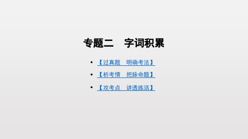 专题二 字词积累-广东中考语文总复习完美课件(共11张PPT)