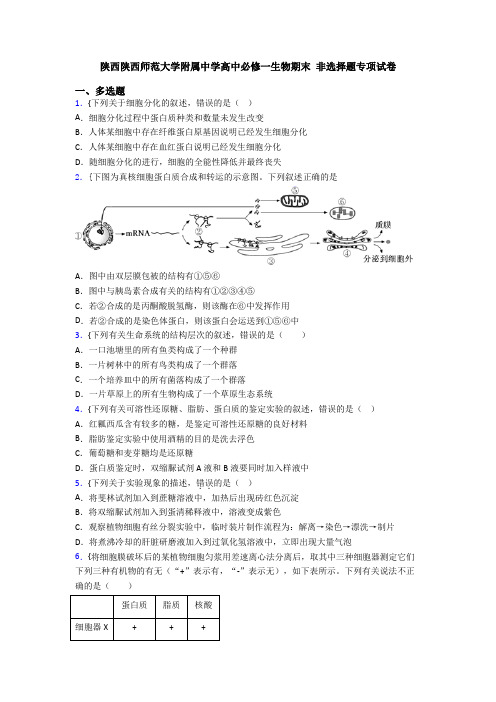 陕西陕西师范大学附属中学高中必修一生物期末 非选择题专项试卷
