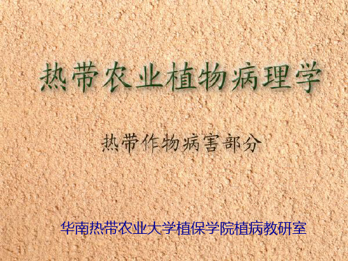 橡胶树病虫害