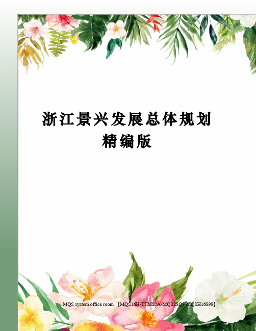 浙江景兴发展总体规划精编版