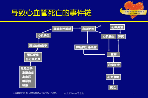 高血压与心血管危险培训课件