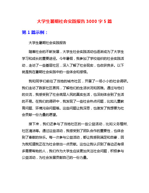 大学生暑期社会实践报告3000字5篇