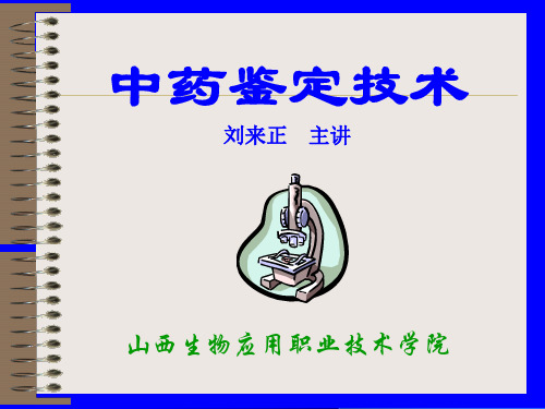 根与根茎类中药