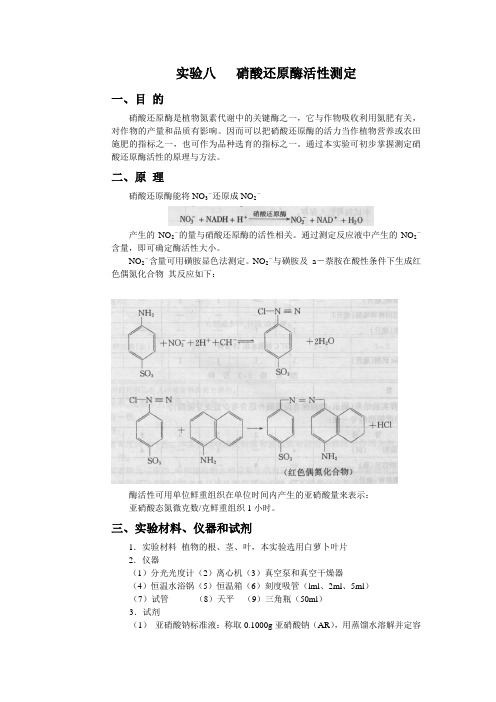 硝酸还原酶活性测定