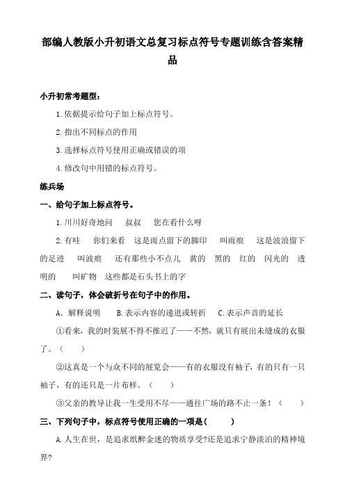 2020部编人教版小升初语文总复习标点符号专题训练含答案精