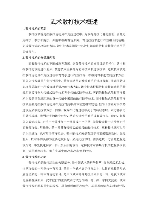 武术散打技术概述
