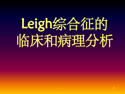 Leigh综合症