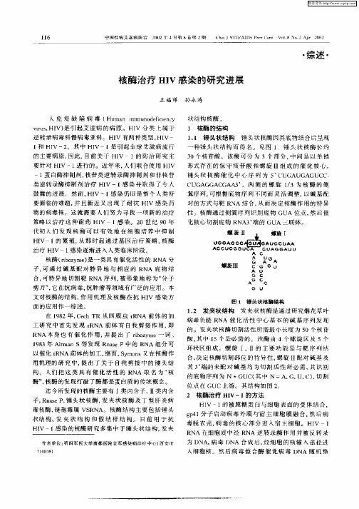 核酶治疗HIV感染的研究进展