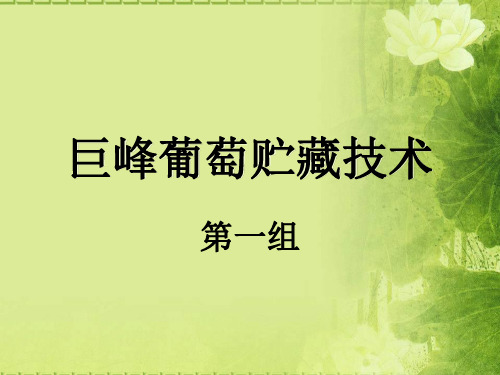 巨峰葡萄贮藏技术  第一组